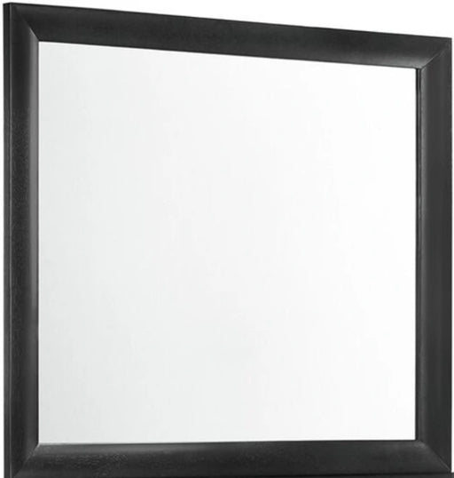 Elements International Emily Mirror in Black image