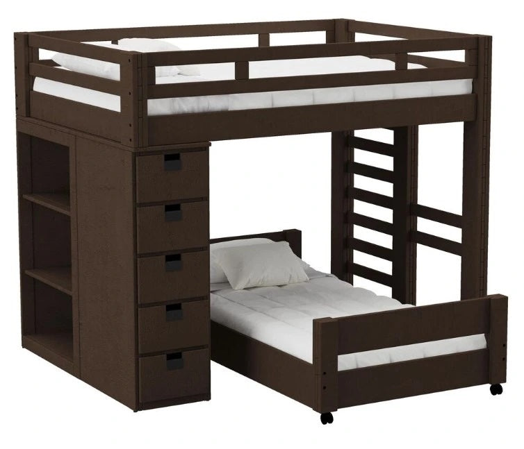 Elements International Cali Kids Twin Over Twin Bookcase Loft Bed in Brown image