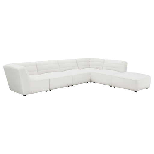 Sunny Modular Sectionals - American Home Express Outlet (San Antonio, TX)
