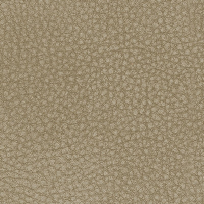 Next-Gen DuraPella Power Recliner - American Home Express Outlet (San Antonio, TX)