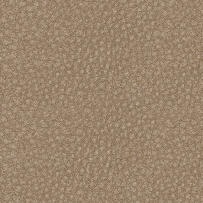 Next-Gen DuraPella Power Recliner - American Home Express Outlet (San Antonio, TX)