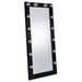 Zayan Floor Mirror with LED Lighting - American Home Express Outlet (San Antonio, TX)