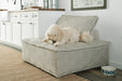 Bales Accent Chair - American Home Express Outlet (San Antonio, TX)