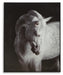 Archerwick Wall Art - American Home Express Outlet (San Antonio, TX)