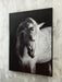 Archerwick Wall Art - American Home Express Outlet (San Antonio, TX)