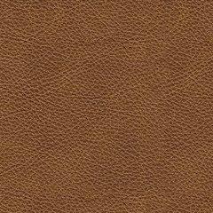 Carianna Ottoman - American Home Express Outlet (San Antonio, TX)