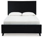 Danziar Bed - American Home Express Outlet (San Antonio, TX)