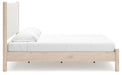 Cadmori Upholstered Bed - American Home Express Outlet (San Antonio, TX)