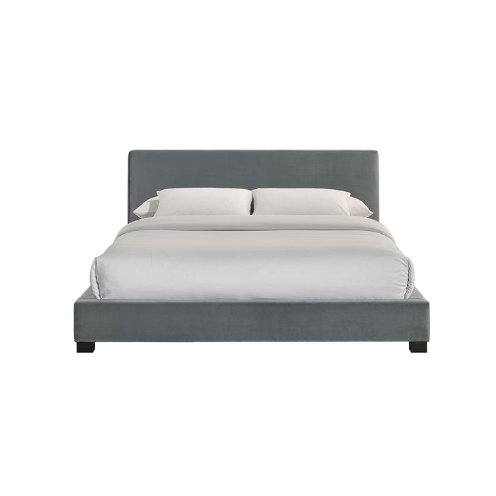 Brookhaven UPH Bed - American Home Express Outlet (San Antonio, TX)