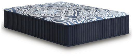 Firm Luxe 2.0 Mattress - American Home Express Outlet (San Antonio, TX)