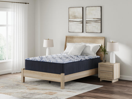 Firm Luxe 2.0 Mattress - American Home Express Outlet (San Antonio, TX)
