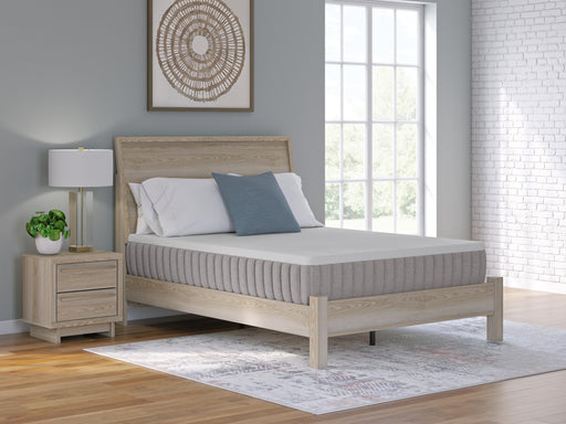Terra Sleep Firm Mattress - American Home Express Outlet (San Antonio, TX)