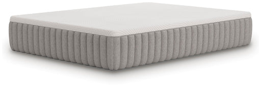 Terra Sleep Soft Mattress - American Home Express Outlet (San Antonio, TX)