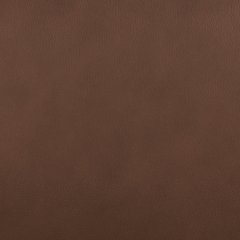 Pincara Power AutoGlide Recliner - American Home Express Outlet (San Antonio, TX)